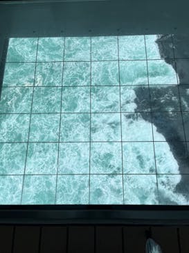 徳島県立 渦の道に投稿された画像（2023/11/28）