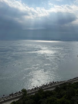 徳島県立 渦の道に投稿された画像（2023/11/28）