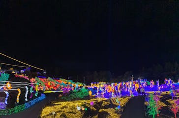 伊豆ぐらんぱる公園に投稿された画像（2023/11/28）