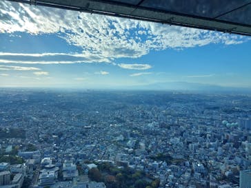 横浜ランドマークタワー 69階展望フロア スカイガーデンに投稿された画像（2023/11/28）