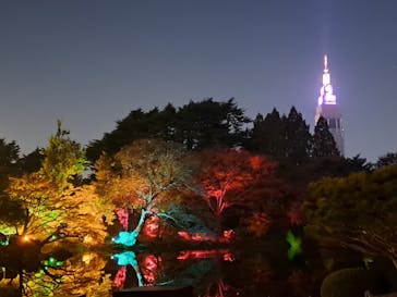 NAKED 紅葉の新宿御苑2023に投稿された画像（2023/11/28）