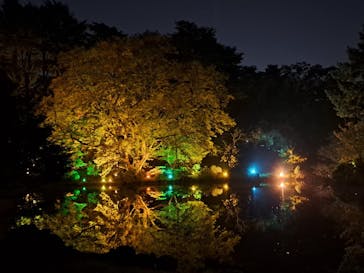 NAKED 紅葉の新宿御苑2023に投稿された画像（2023/11/28）