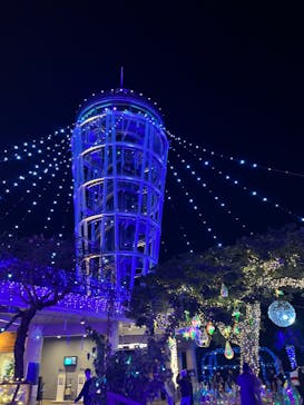 江の島シーキャンドルに投稿された画像（2023/11/28）