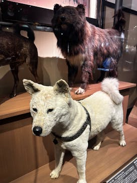 国立科学博物館に投稿された画像（2023/11/28）