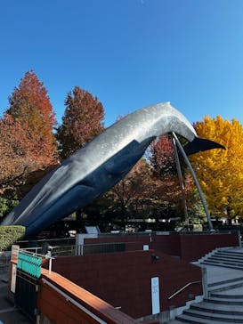 国立科学博物館に投稿された画像（2023/11/28）