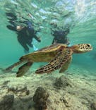 宮古島 ADVENTURE PiPi（ミヤコジマ アドベンチャー ピピ）に投稿された画像（2023/11/28）