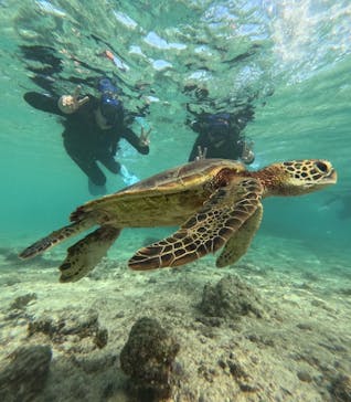 宮古島 ADVENTURE PiPi（ミヤコジマ アドベンチャー ピピ）に投稿された画像（2023/11/28）