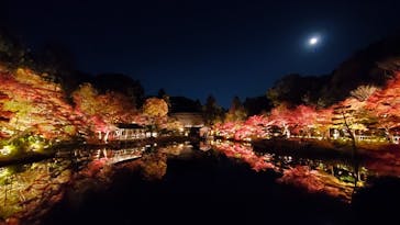 名古屋市東山動植物園に投稿された画像（2023/11/28）