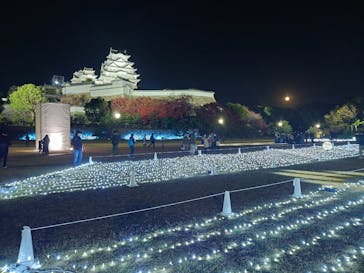 姫路城（イベント）に投稿された画像（2023/11/28）