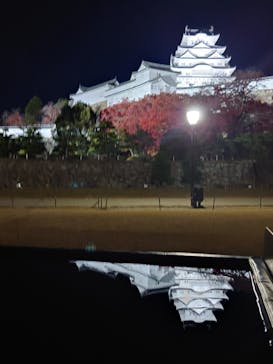 姫路城（イベント）に投稿された画像（2023/11/28）