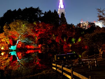 NAKED 紅葉の新宿御苑2023に投稿された画像（2023/11/28）