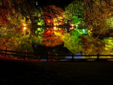 NAKED 紅葉の新宿御苑2023に投稿された画像（2023/11/28）