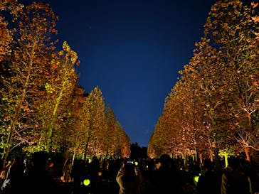 NAKED 紅葉の新宿御苑2023に投稿された画像（2023/11/28）