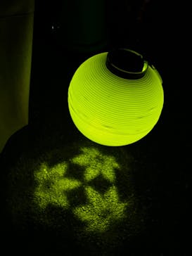 NAKED 紅葉の新宿御苑2023に投稿された画像（2023/11/28）