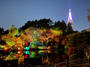 NAKED 紅葉の新宿御苑2023に投稿された画像（2023/11/28）