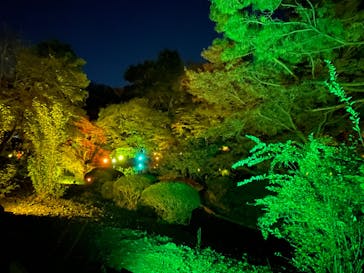 NAKED 紅葉の新宿御苑2023に投稿された画像（2023/11/28）