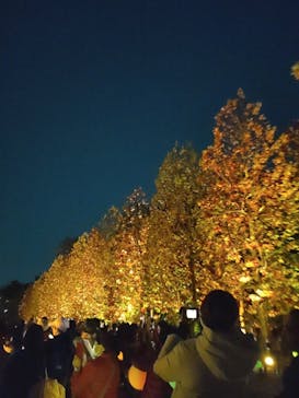 NAKED 紅葉の新宿御苑2023に投稿された画像（2023/11/28）