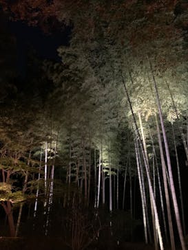 六義園に投稿された画像（2023/11/28）