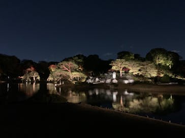 六義園に投稿された画像（2023/11/28）