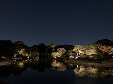 六義園に投稿された画像（2023/11/28）