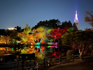 NAKED 紅葉の新宿御苑2023に投稿された画像（2023/11/28）