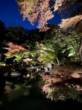 六義園に投稿された画像（2023/11/28）