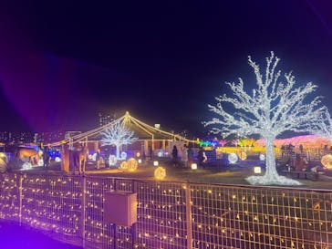 東京メガイルミに投稿された画像（2023/11/28）