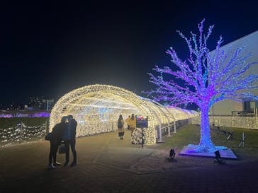 東京メガイルミに投稿された画像（2023/11/28）