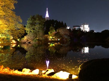 NAKED 紅葉の新宿御苑2023に投稿された画像（2023/11/28）