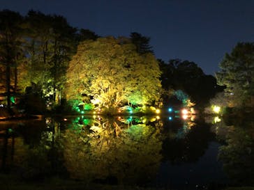 NAKED 紅葉の新宿御苑2023に投稿された画像（2023/11/28）