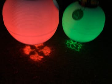 NAKED 紅葉の新宿御苑2023に投稿された画像（2023/11/28）