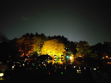 NAKED 紅葉の新宿御苑2023に投稿された画像（2023/11/28）