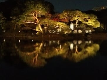 六義園に投稿された画像（2023/11/28）
