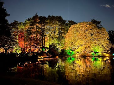 NAKED 紅葉の新宿御苑2023に投稿された画像（2023/11/28）