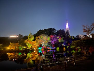 NAKED 紅葉の新宿御苑2023に投稿された画像（2023/11/28）