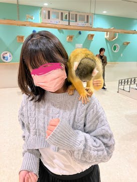 アニタッチアクアシティお台場に投稿された画像（2023/11/28）