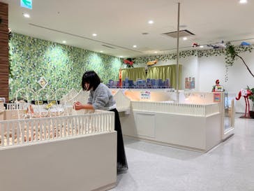 アニタッチアクアシティお台場に投稿された画像（2023/11/28）