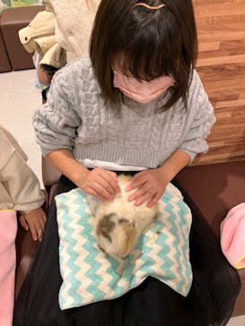 アニタッチアクアシティお台場に投稿された画像（2023/11/28）