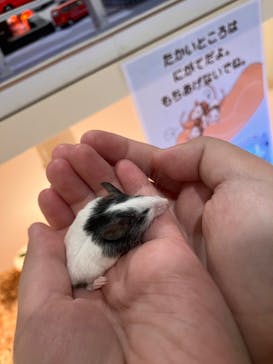 アニタッチアクアシティお台場に投稿された画像（2023/11/28）