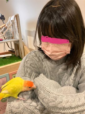 アニタッチアクアシティお台場に投稿された画像（2023/11/28）