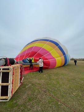 ウイニングバルーンクラブに投稿された画像（2023/11/28）