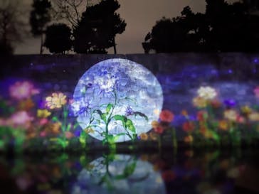 NAKED meets 二条城 2025 観月に投稿された画像（2023/11/28）