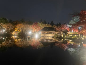国営昭和記念公園 秋の夜散歩に投稿された画像（2023/11/28）
