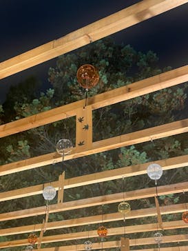 国営昭和記念公園 秋の夜散歩に投稿された画像（2023/11/28）