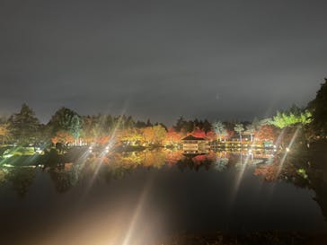 国営昭和記念公園 秋の夜散歩に投稿された画像（2023/11/28）
