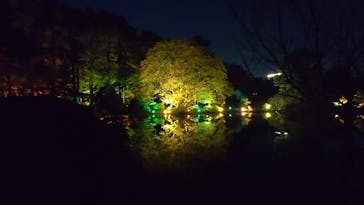 NAKED 紅葉の新宿御苑2023に投稿された画像（2023/11/28）