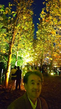 NAKED 紅葉の新宿御苑2023に投稿された画像（2023/11/28）