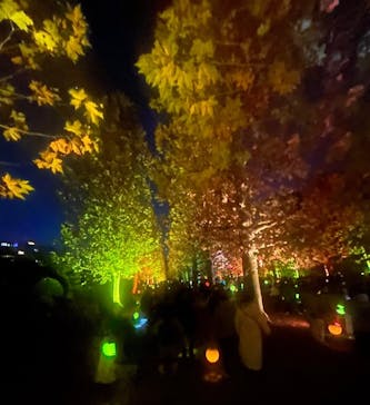 NAKED 紅葉の新宿御苑2023に投稿された画像（2023/11/28）