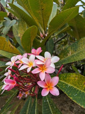 おきなわワールドに投稿された画像（2023/11/28）