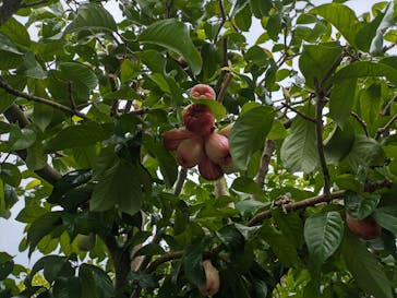 おきなわワールドに投稿された画像（2023/11/28）